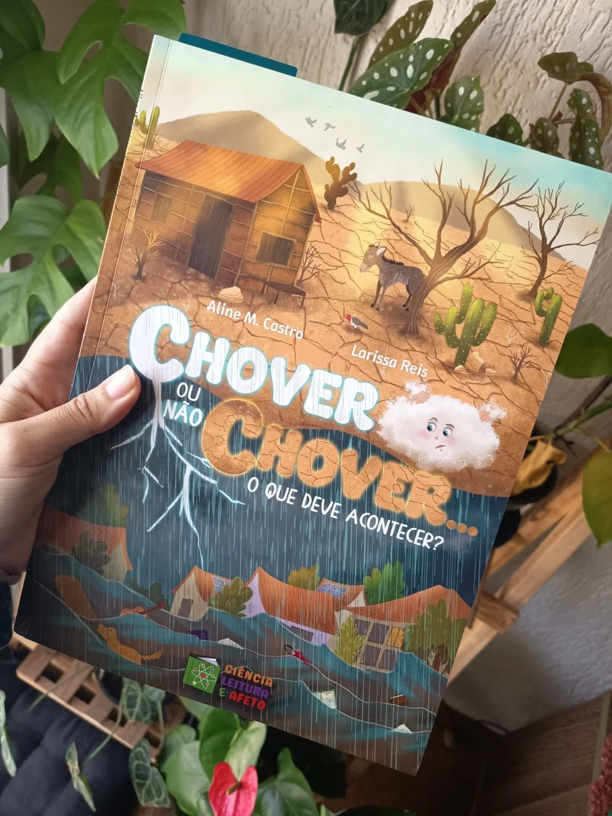 CHOVER OU NÃO CHOVER... O QUE DEVE ACONTECER