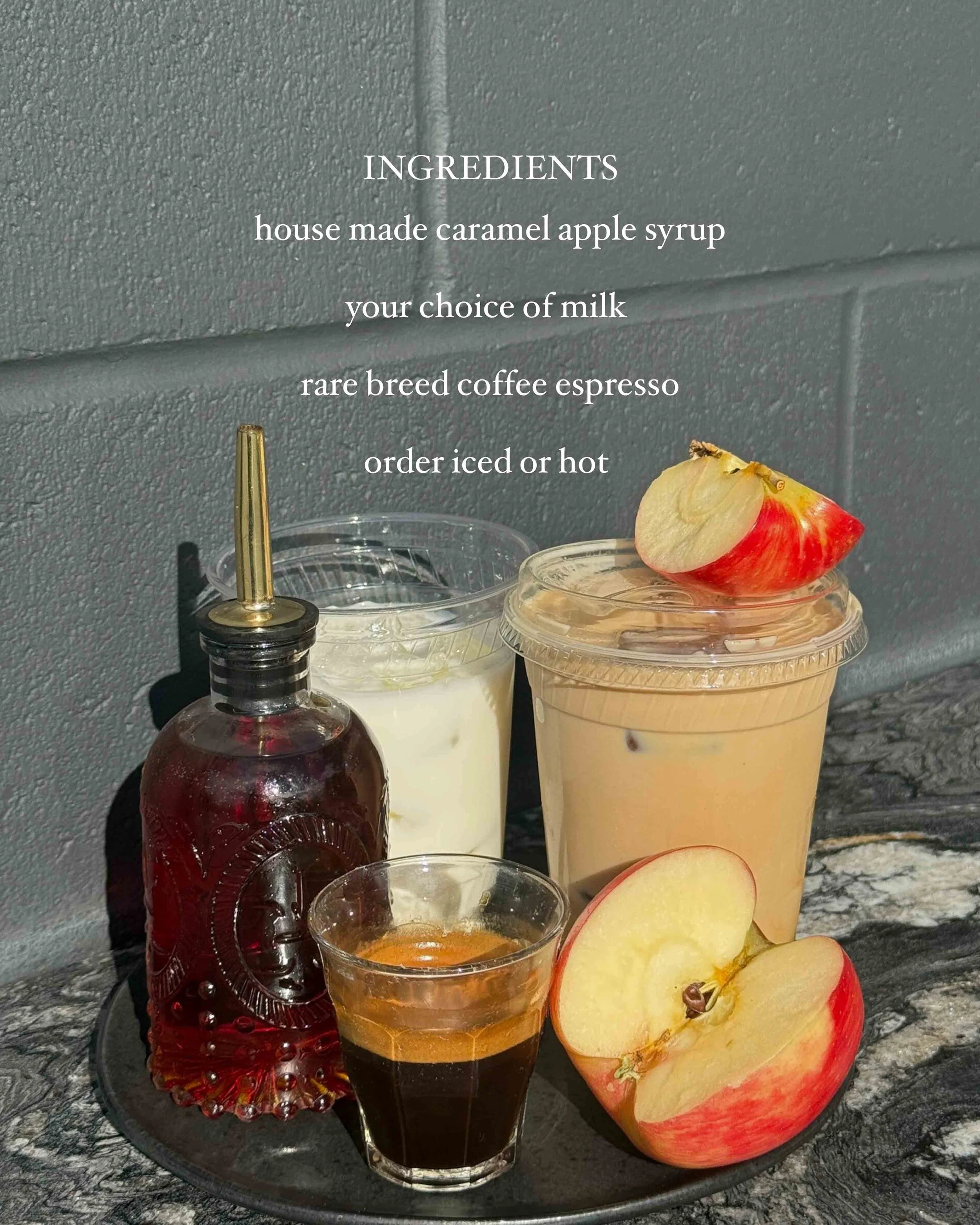 Ingredients posts template .jpg