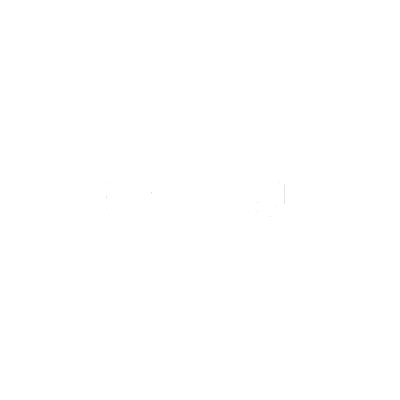 Black background with white text reading "LANY & LU"