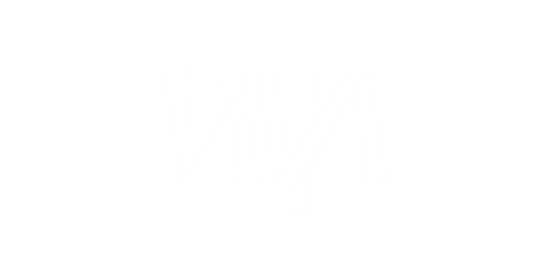 Black background with white text that reads "V2N" in stylized font.