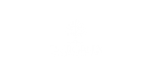 Logo for Evergreen featuring a tree and stylized text.