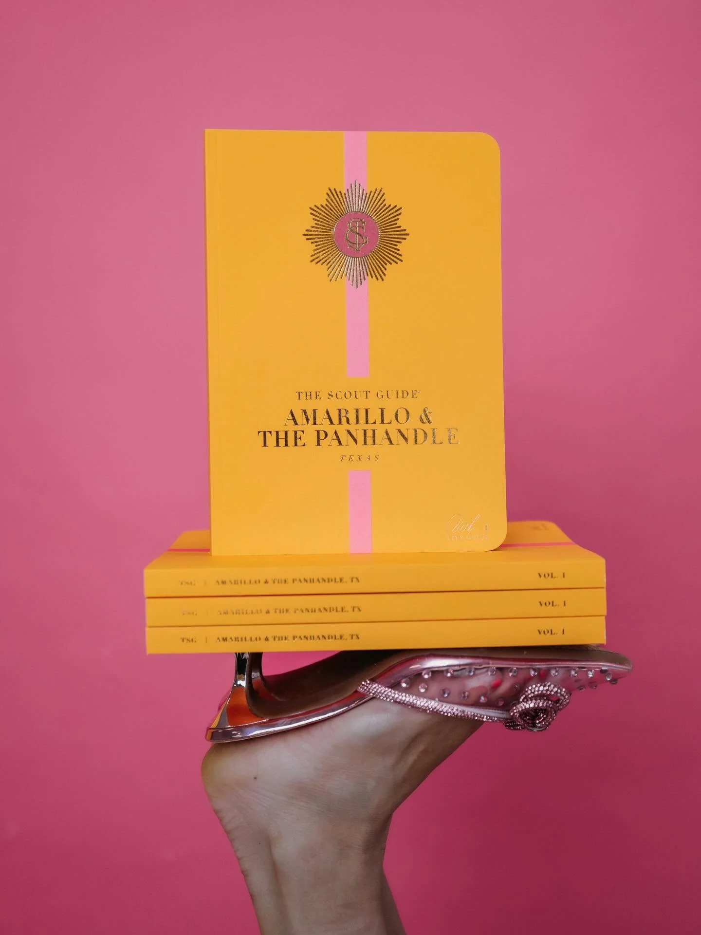 The Scout Guide Vol. 1