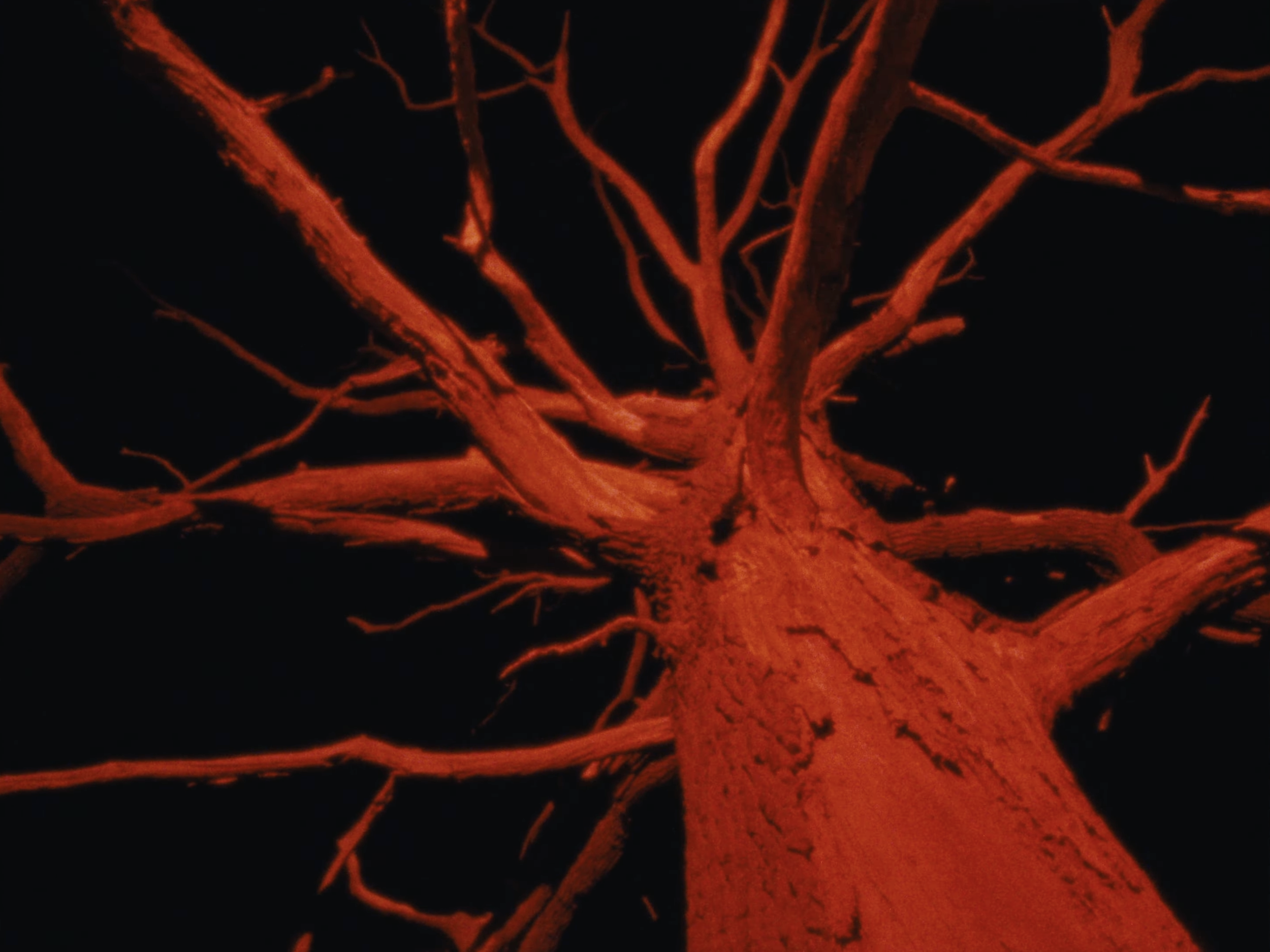 Screenshot 2025-12-20 at 17.47.41.png