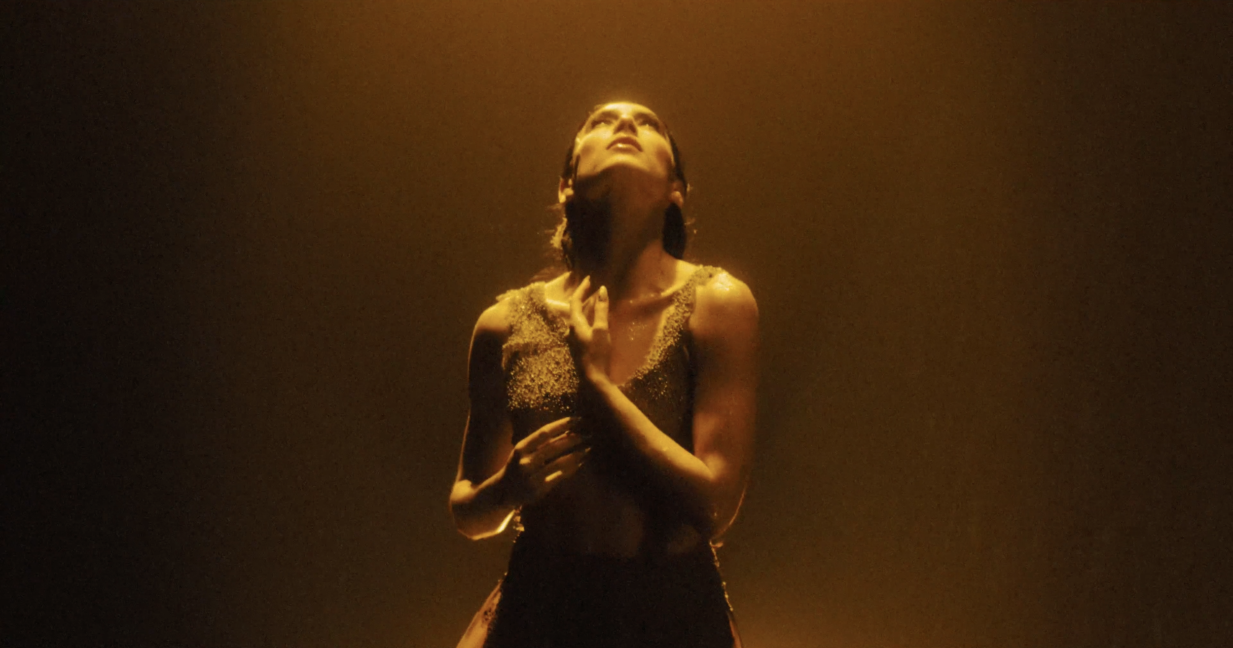 Oleaster | Commercial