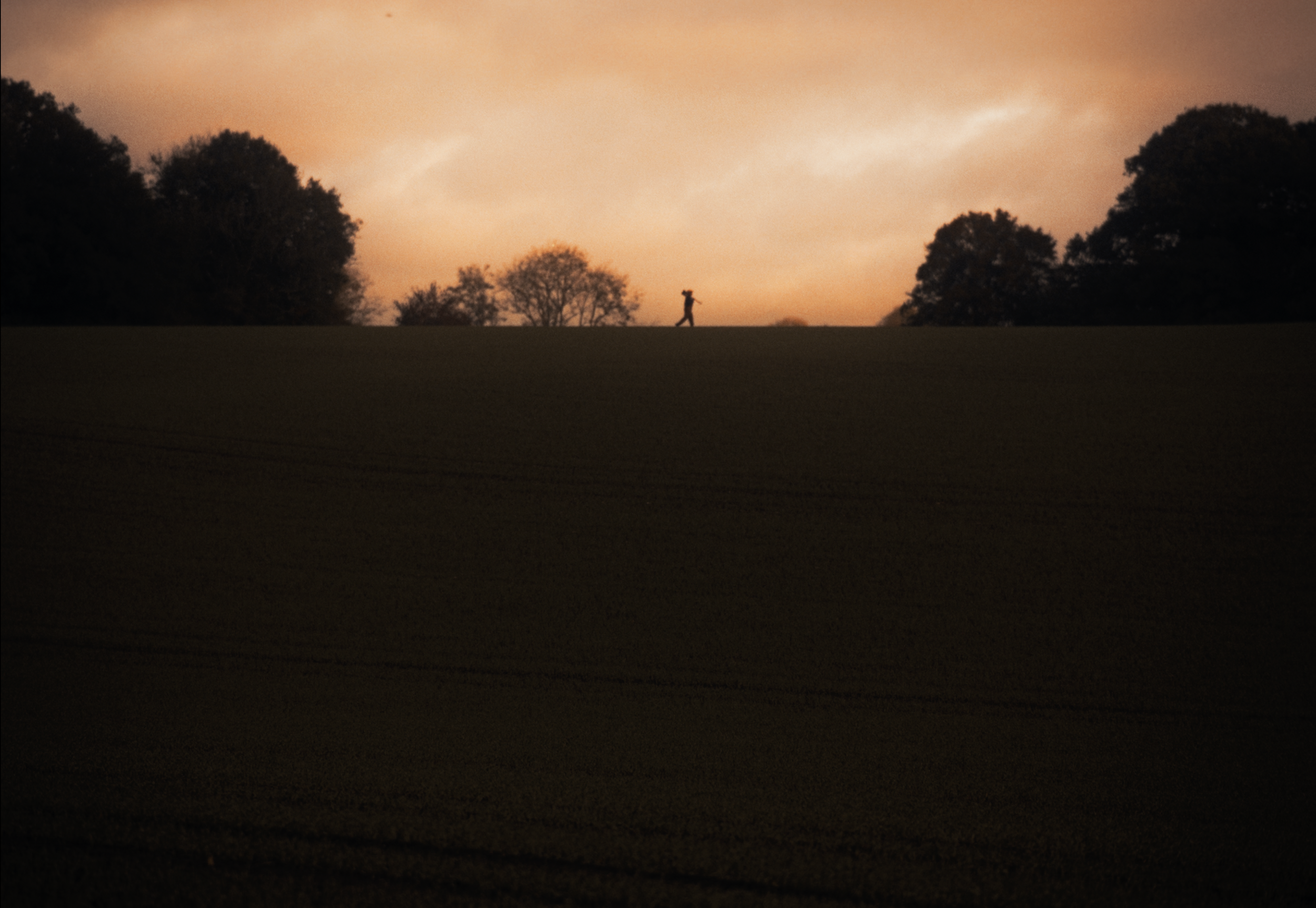 Slam Dunk | Announcement 25