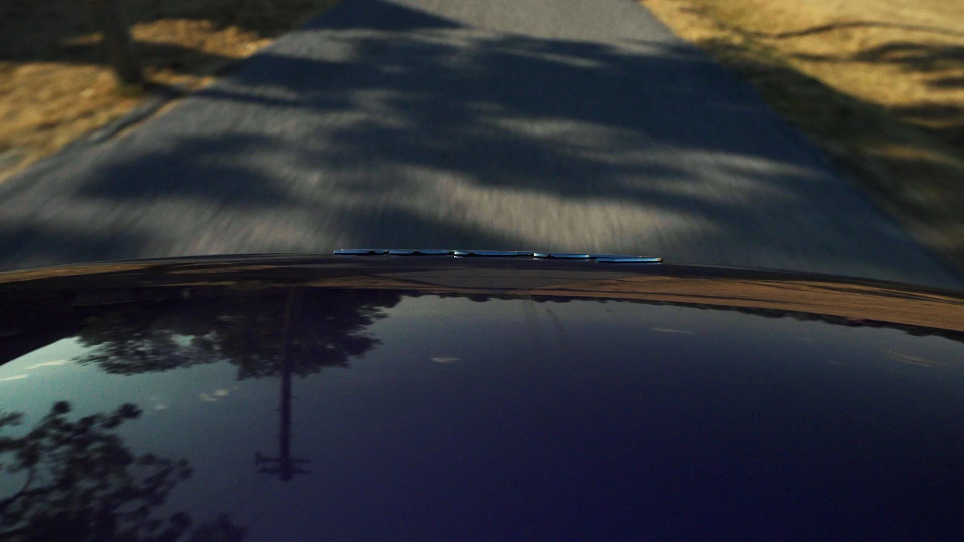 Sequence 01.00_00_54_20.Still012.jpg