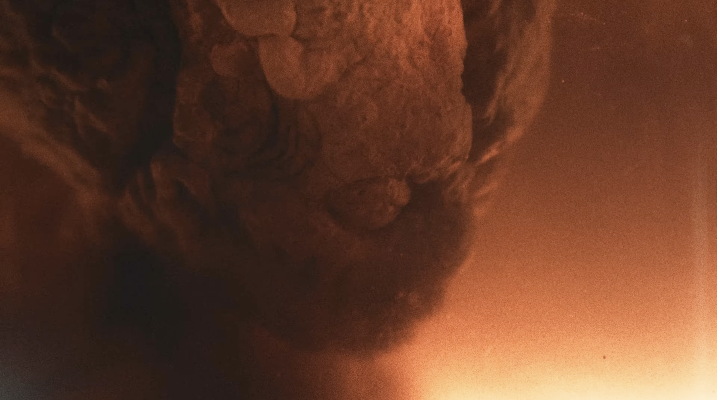 Screenshot 2026-01-15 at 17.45.29.png