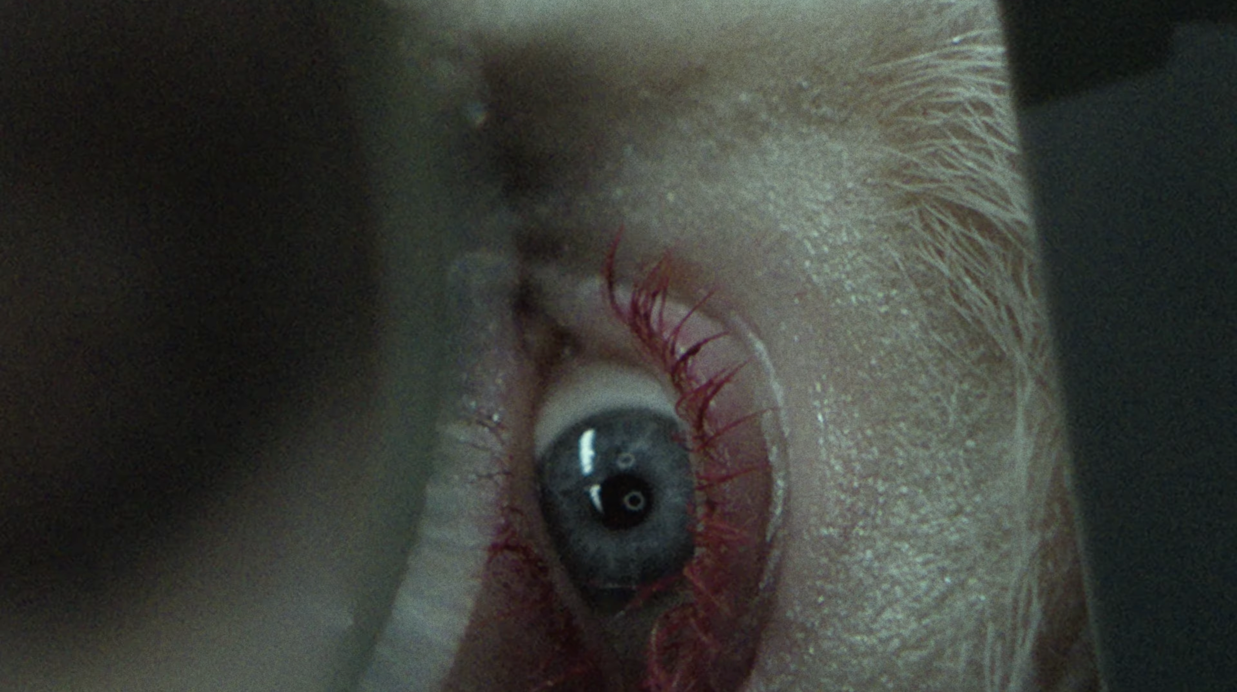 Screenshot 2026-04-12 at 23.41.53.png