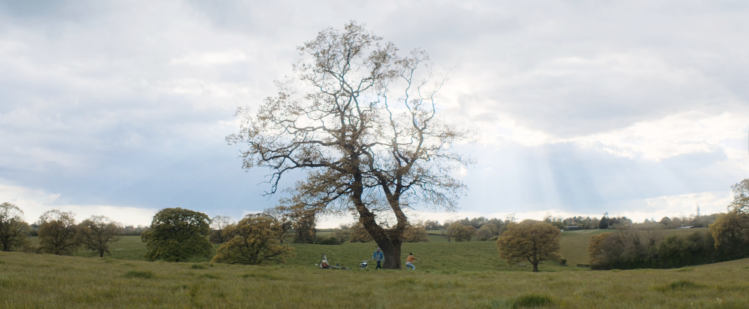 Disaderum | Short Film