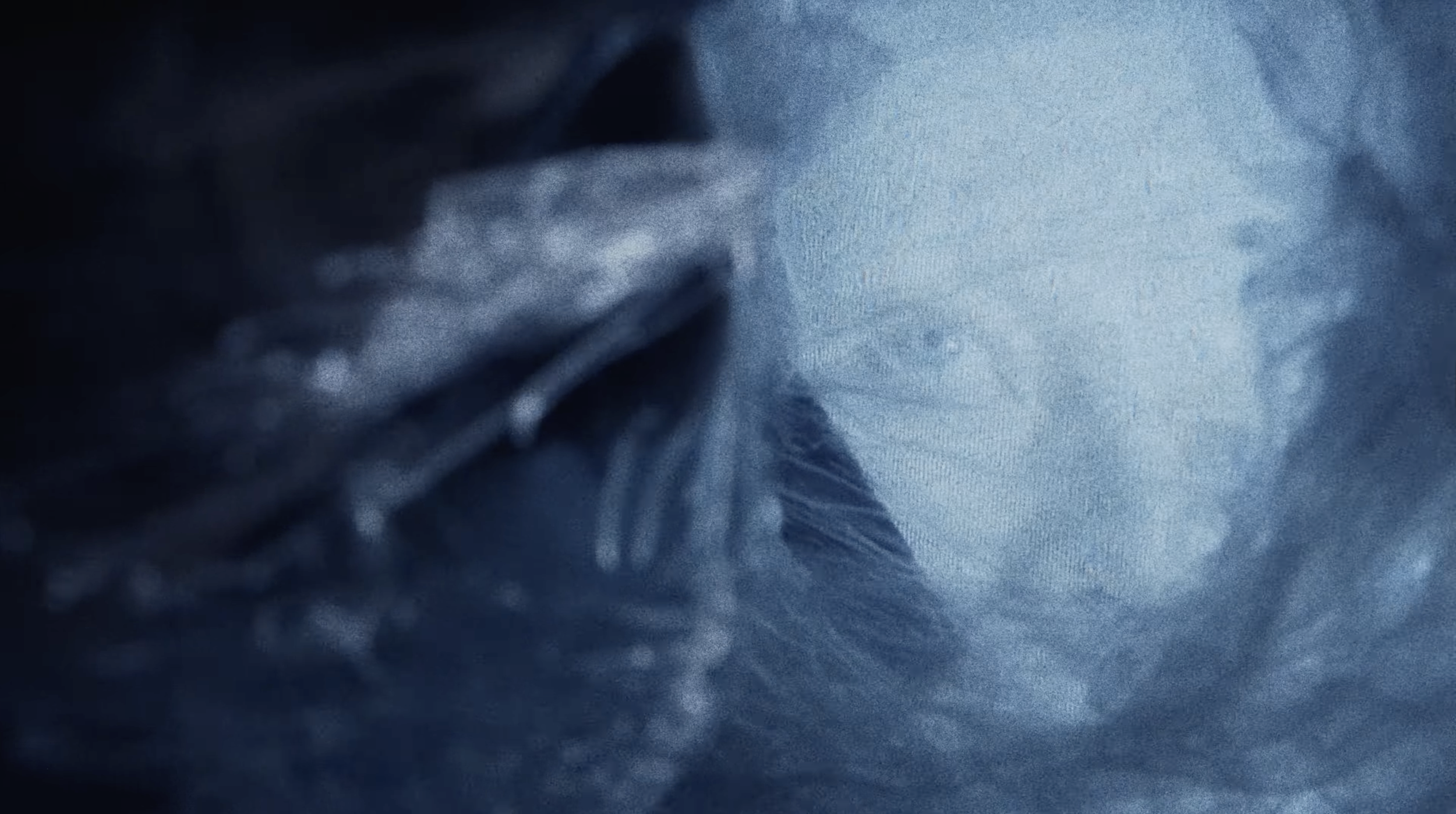 Screenshot 2026-01-15 at 17.44.35.png