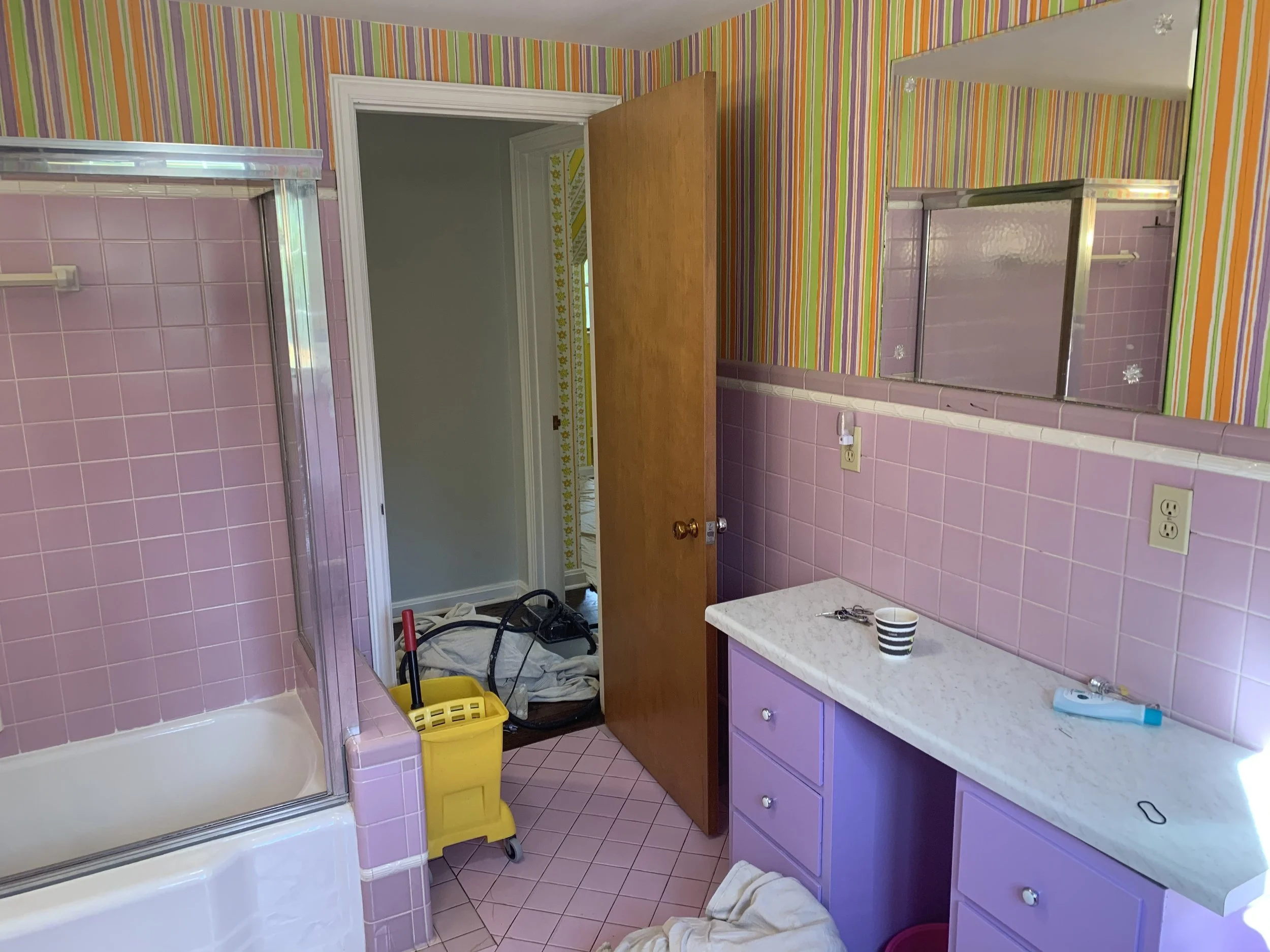 Bathroom remodel - Before