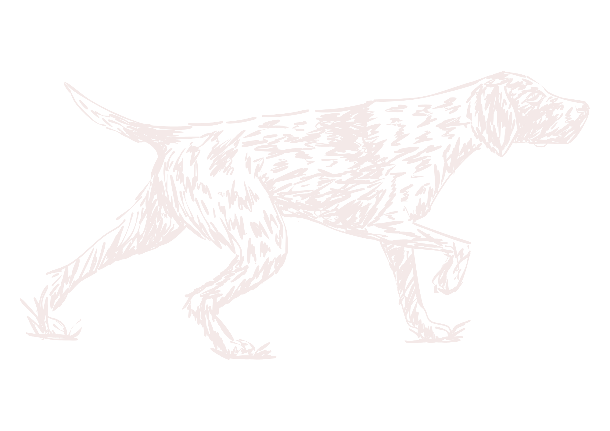 MSN Property Consultancy Dog Icon