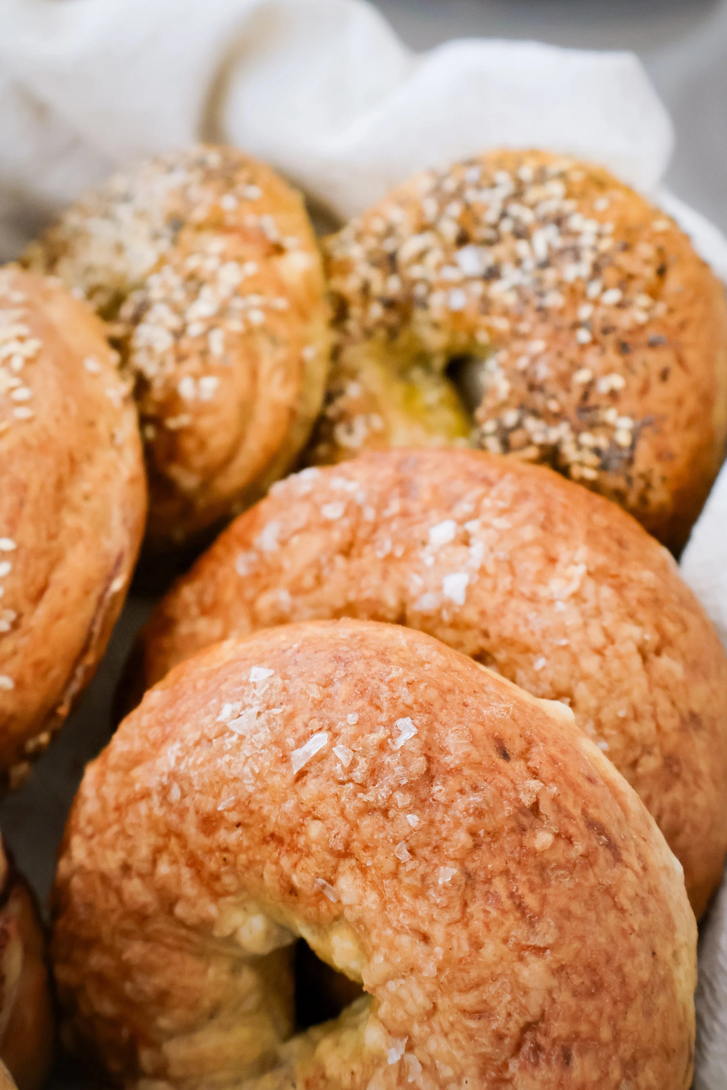 Close-up of variety of freshly baked bagels on a cooling rack.
