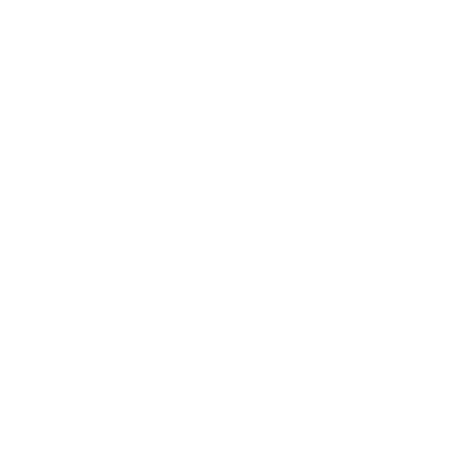 Logo of Ruckus Networks featuring a stylized lion and ascending bar chart.