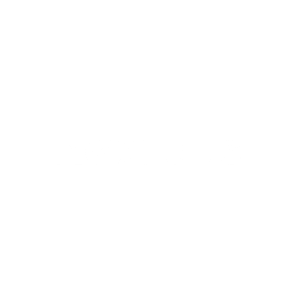 Logo of Nexus for a tech or gaming brand with a modern font and abstract symbols.