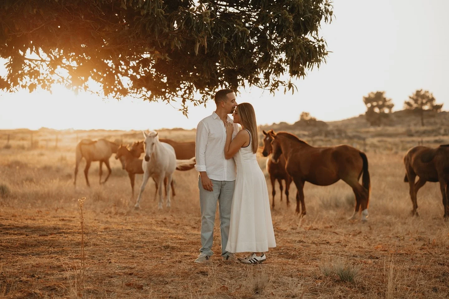 Among wild horses and golden fields, our love runs free.