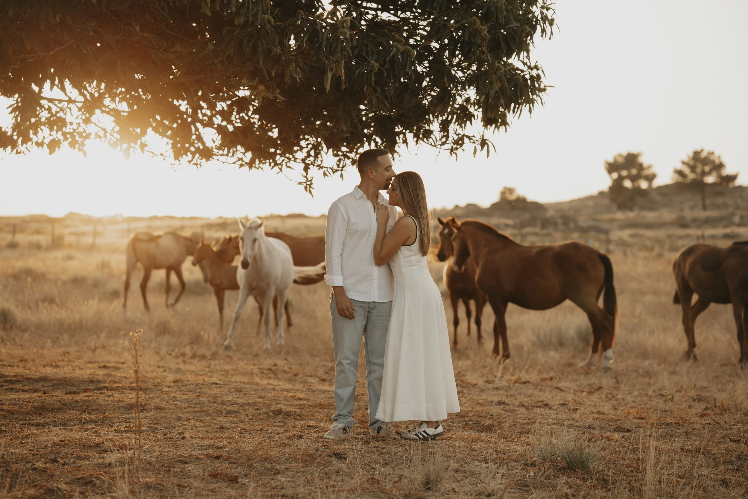 A couple stands closely together under a large tree in a field of dry grass, surrounded by horses at sunset.
