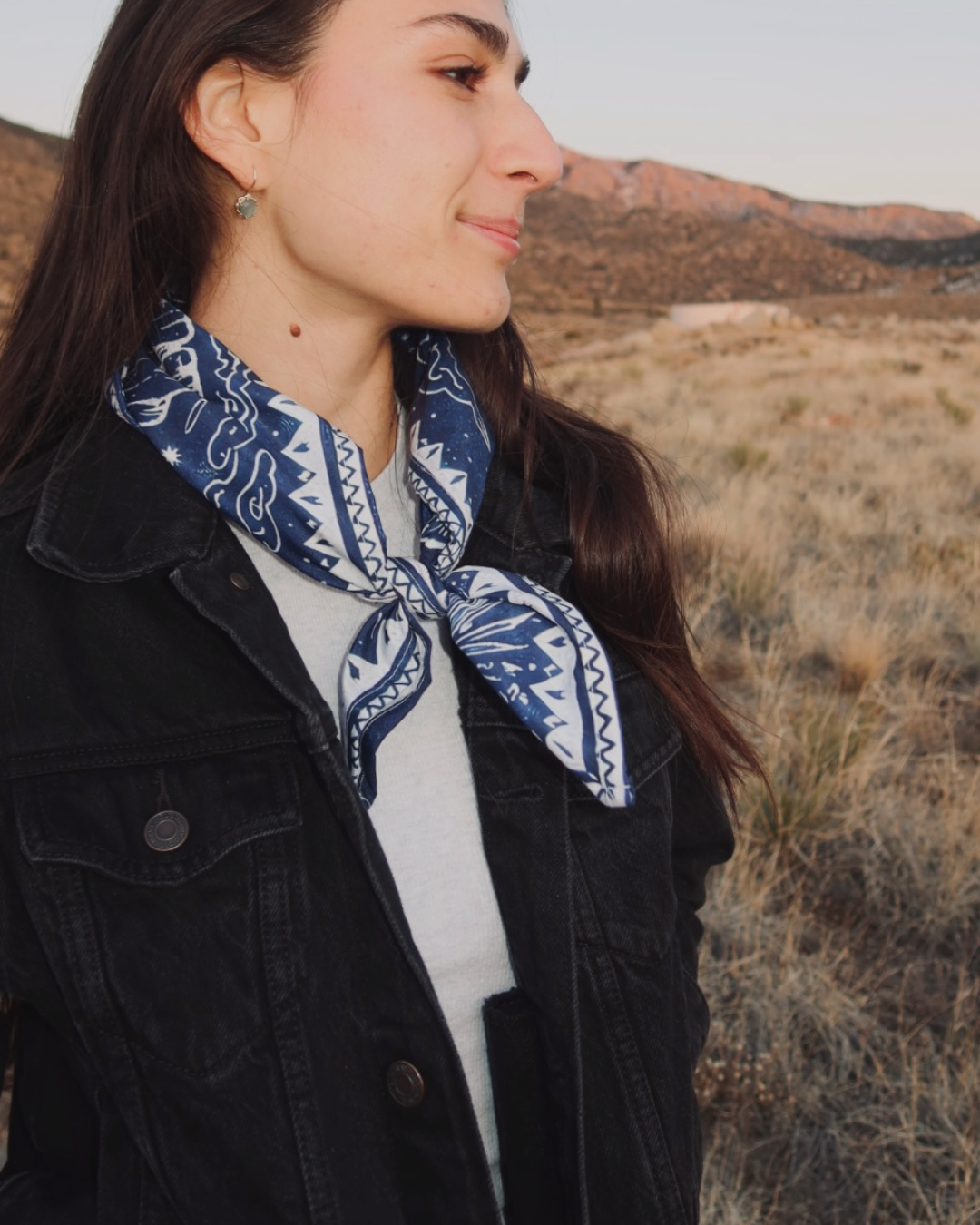 Southwest Bandana