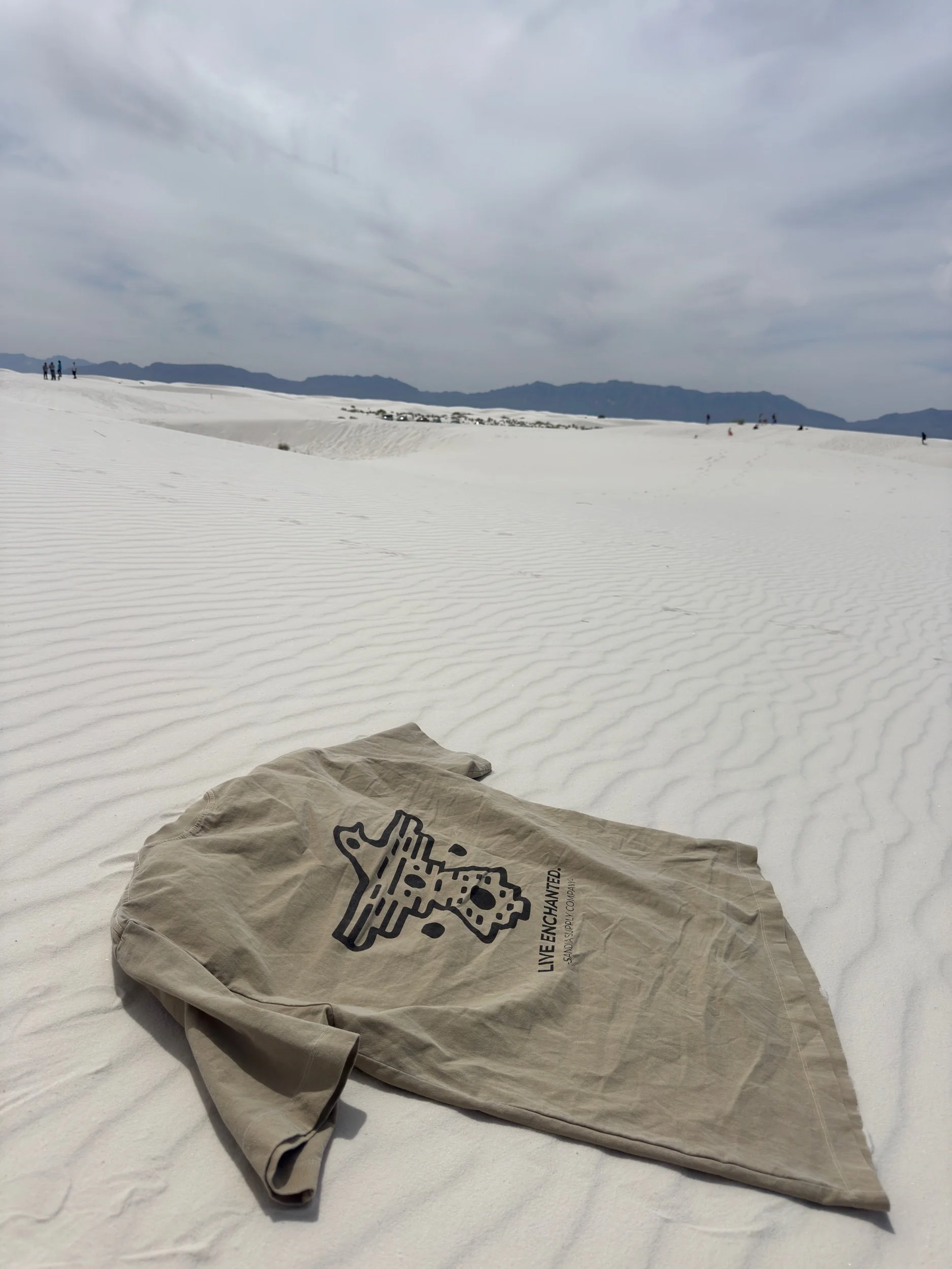 Thunder Bird Heavy weight T-shirt