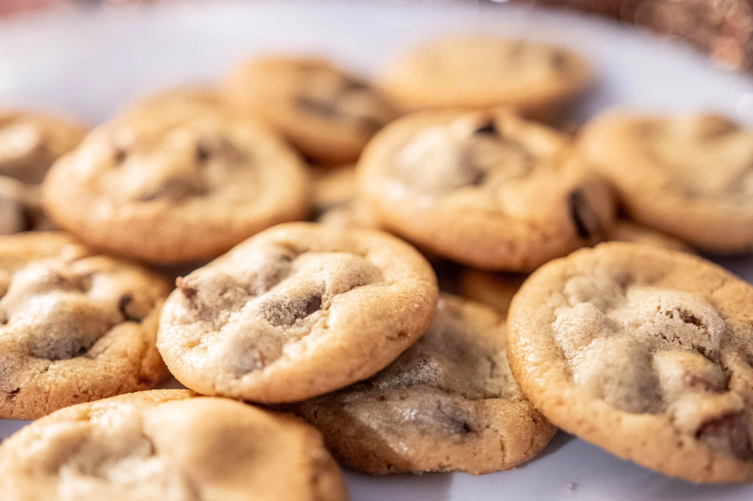 Close-up of chocolate chip cookies on a plate.