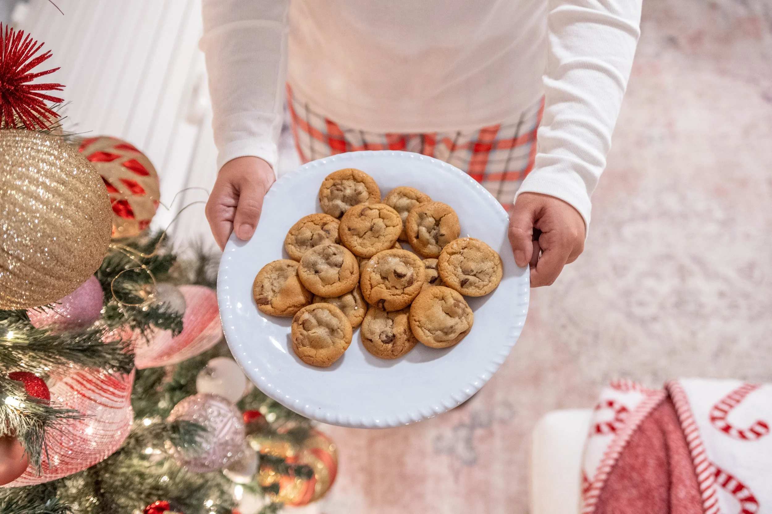 Person holding a white plate of chocolate chip cookies near a decorated Christmas tree.