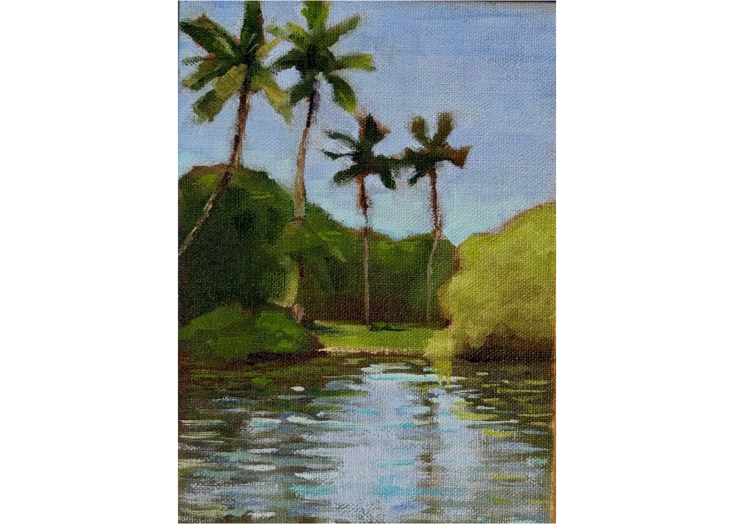 Glade_Lake_Palms_7x5.png