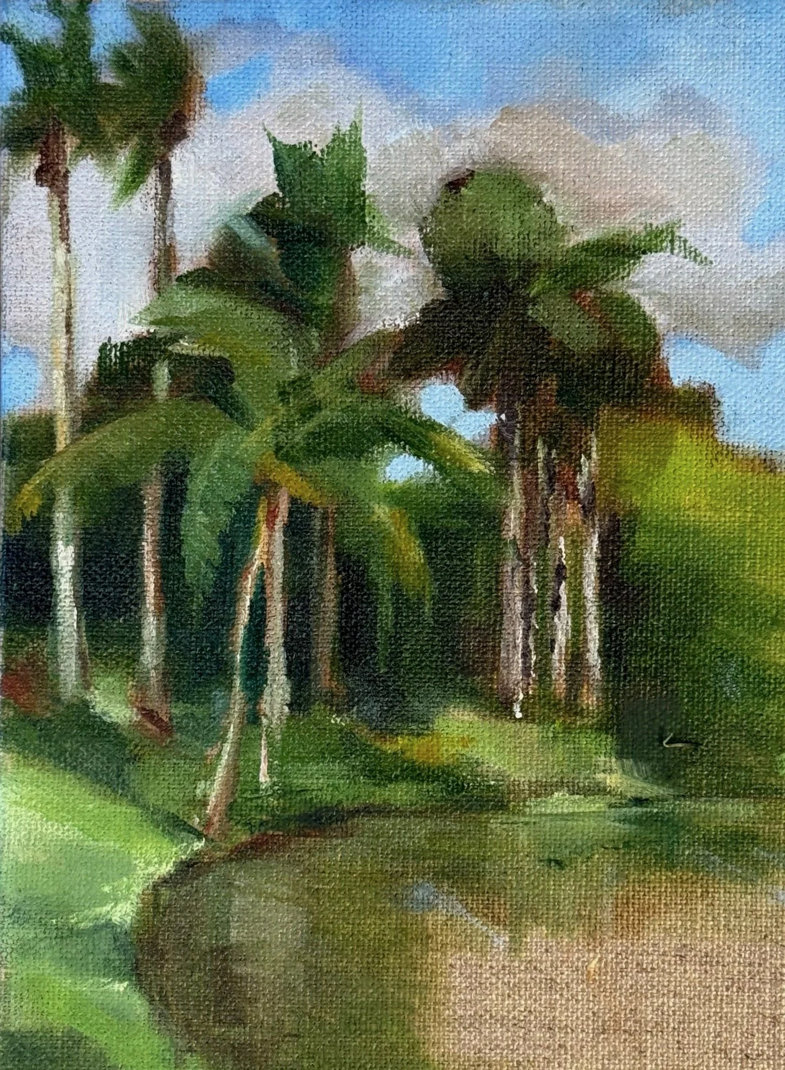Lakeside Palms.jpeg