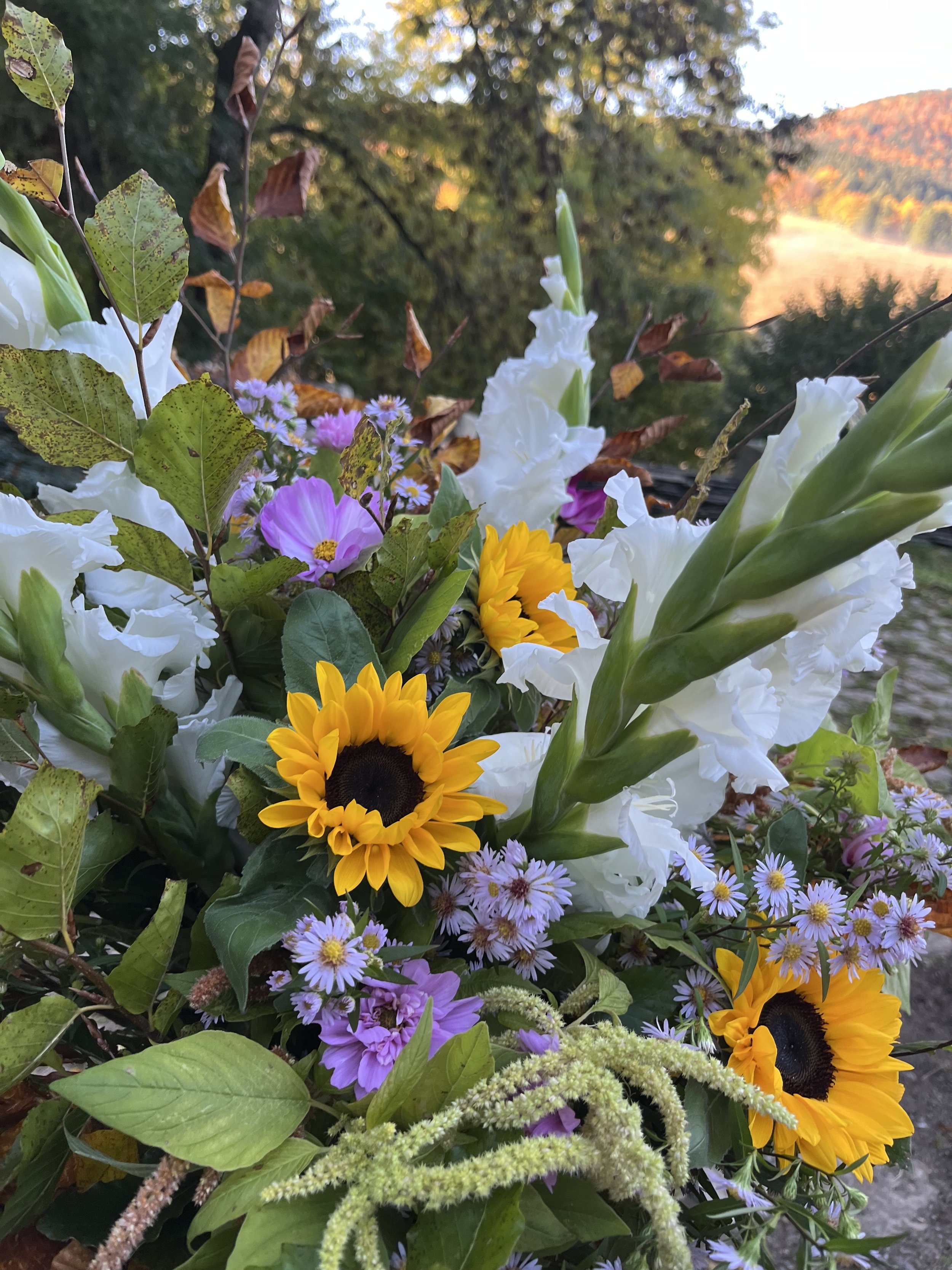 Un bouquet de fleurs colorées comprenant des tournesols, boules d'aster, lys blancs et autres fleurs violettes, avec un paysage de campagne en arrière-plan, clair et ensoleillé.