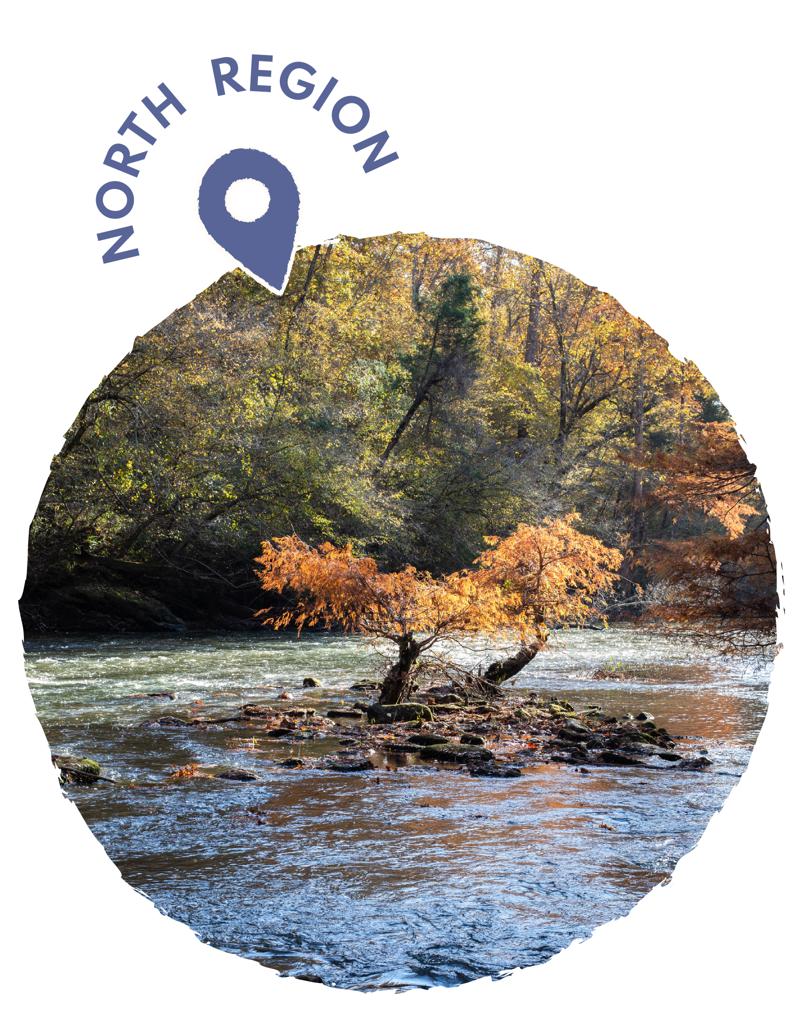 A river flowing through a forest with trees displaying autumn colors.