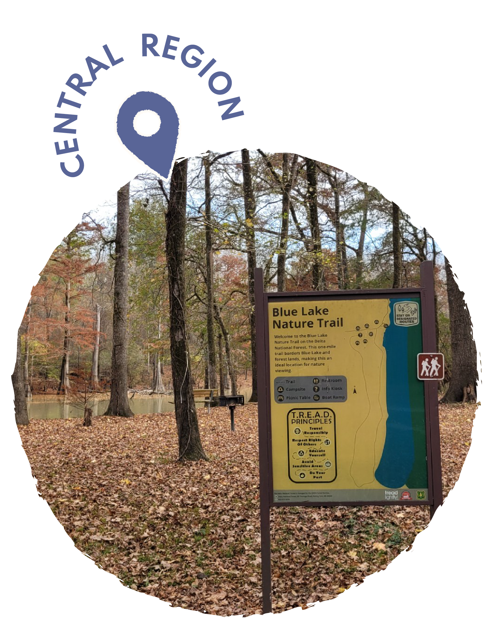 Signboard for Blue Lake Nature Trail in a wooded area with fallen autumn leaves, trees, a picnic table, and a small body of water in the background, indicating a park or nature reserve.