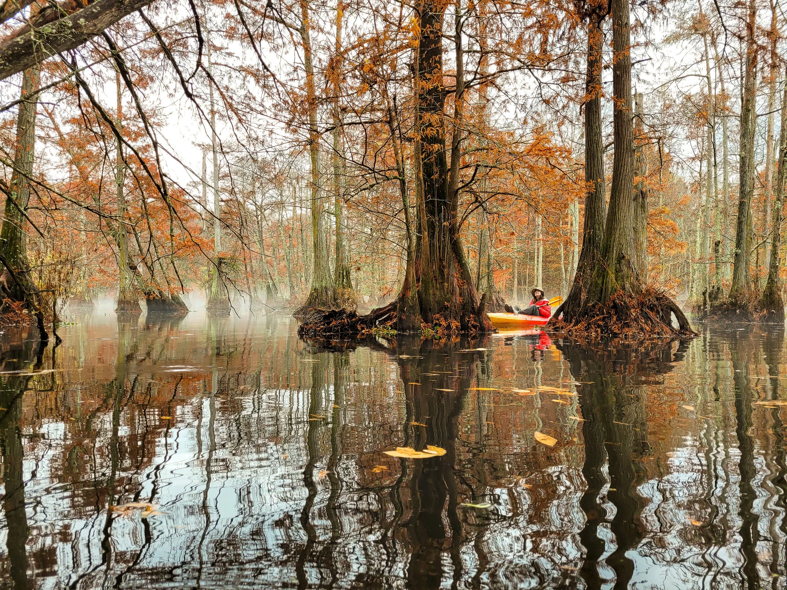 Lee Tartt Nature Preserve