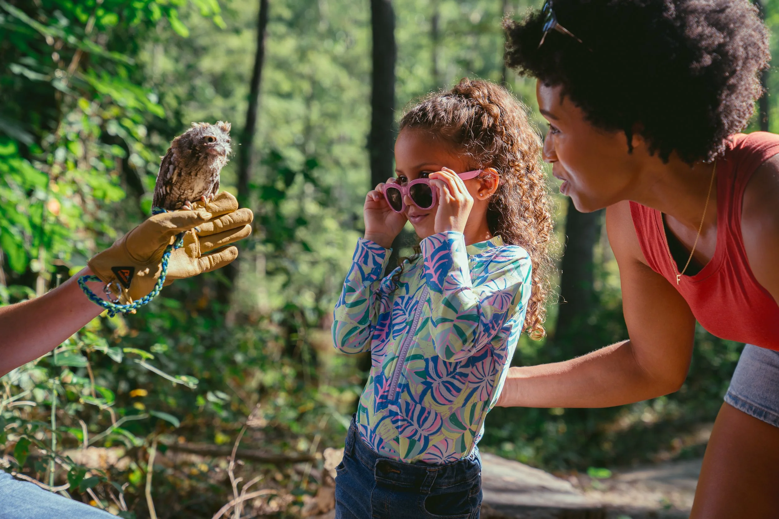 Lee Tartt Nature Preserve