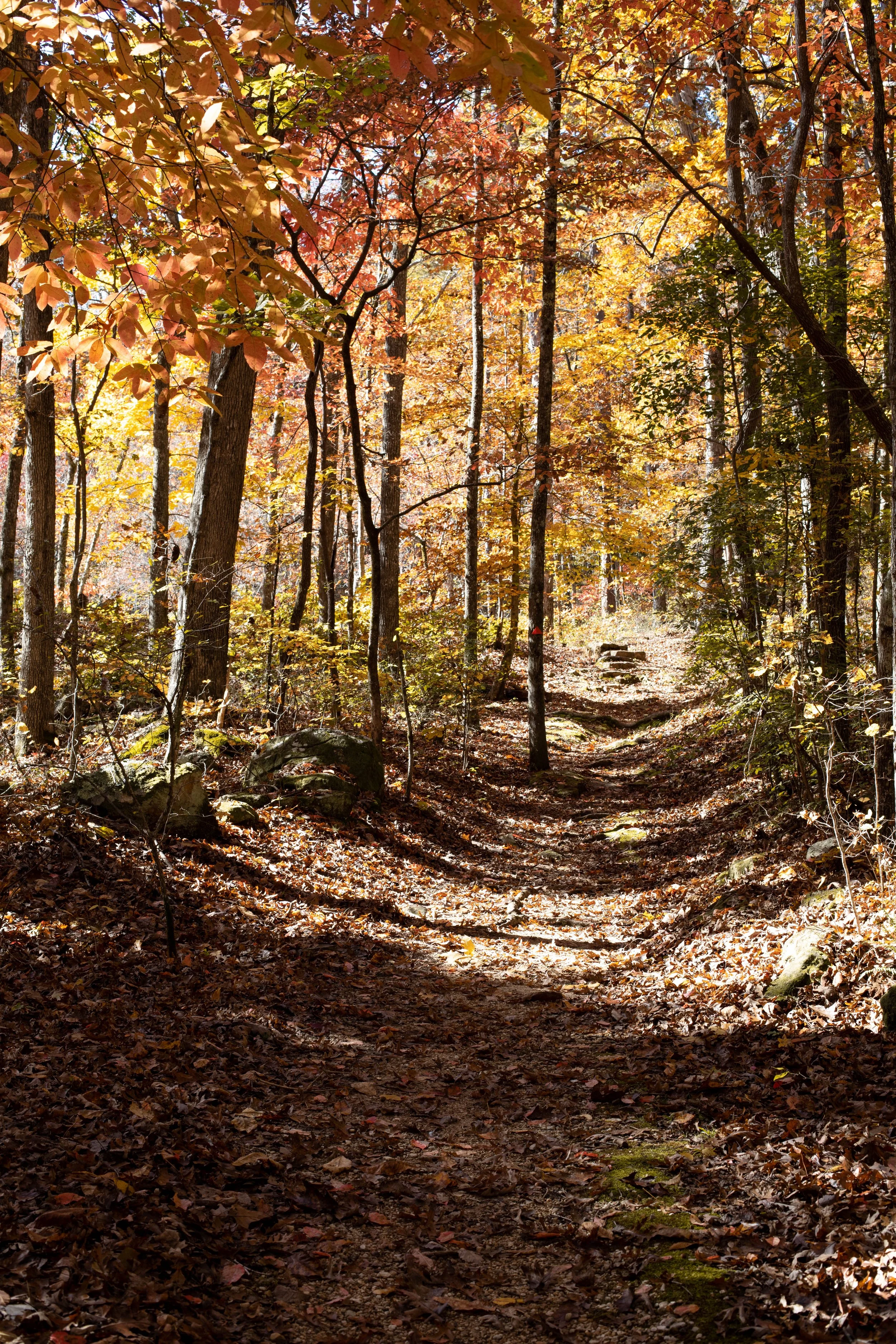 Tishomingo State Park