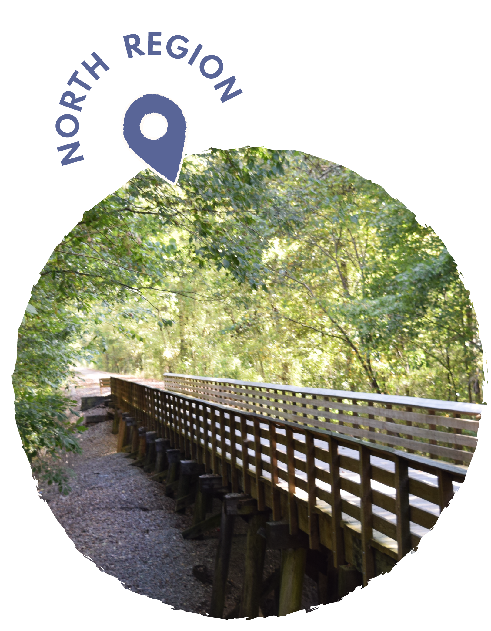 Wooden walkway through a lush green forest with sunlight filtering through the leaves.