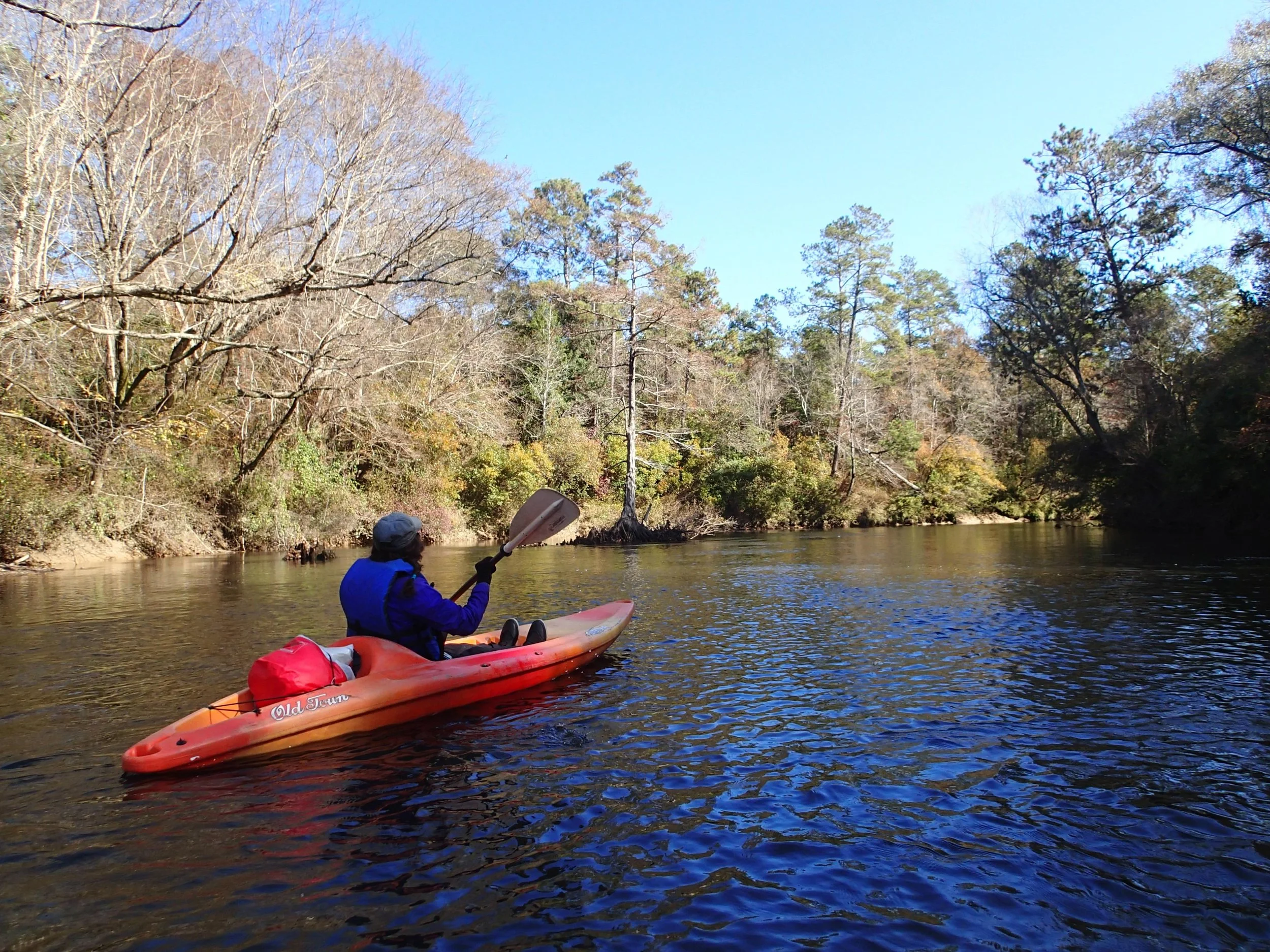 A person kayaking on a river surrounded by trees with autumn foliage.