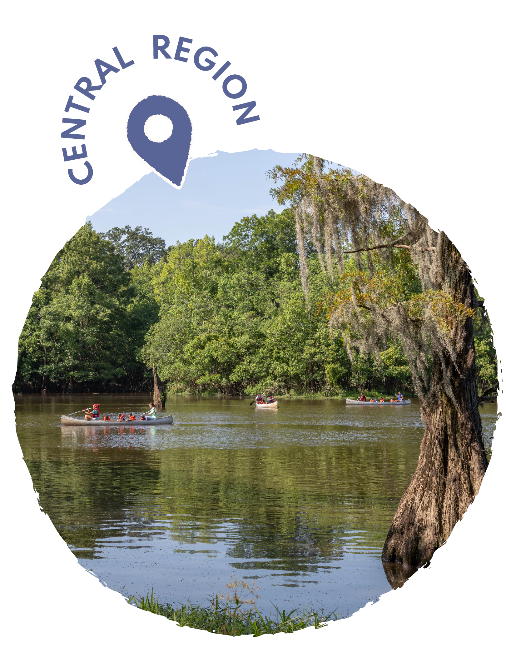 People kayaking on a calm river surrounded by lush green trees with hanging moss.