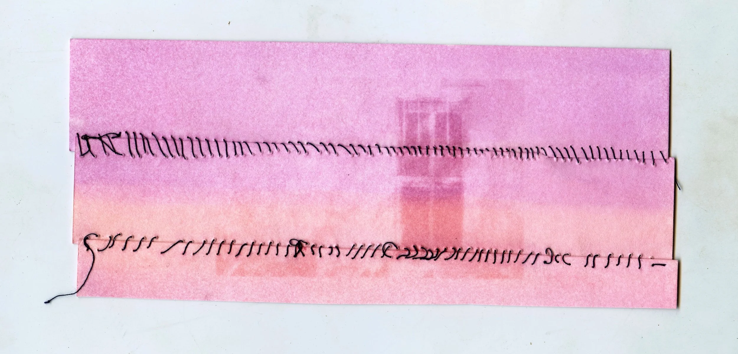 Anthotype and string. May 2025