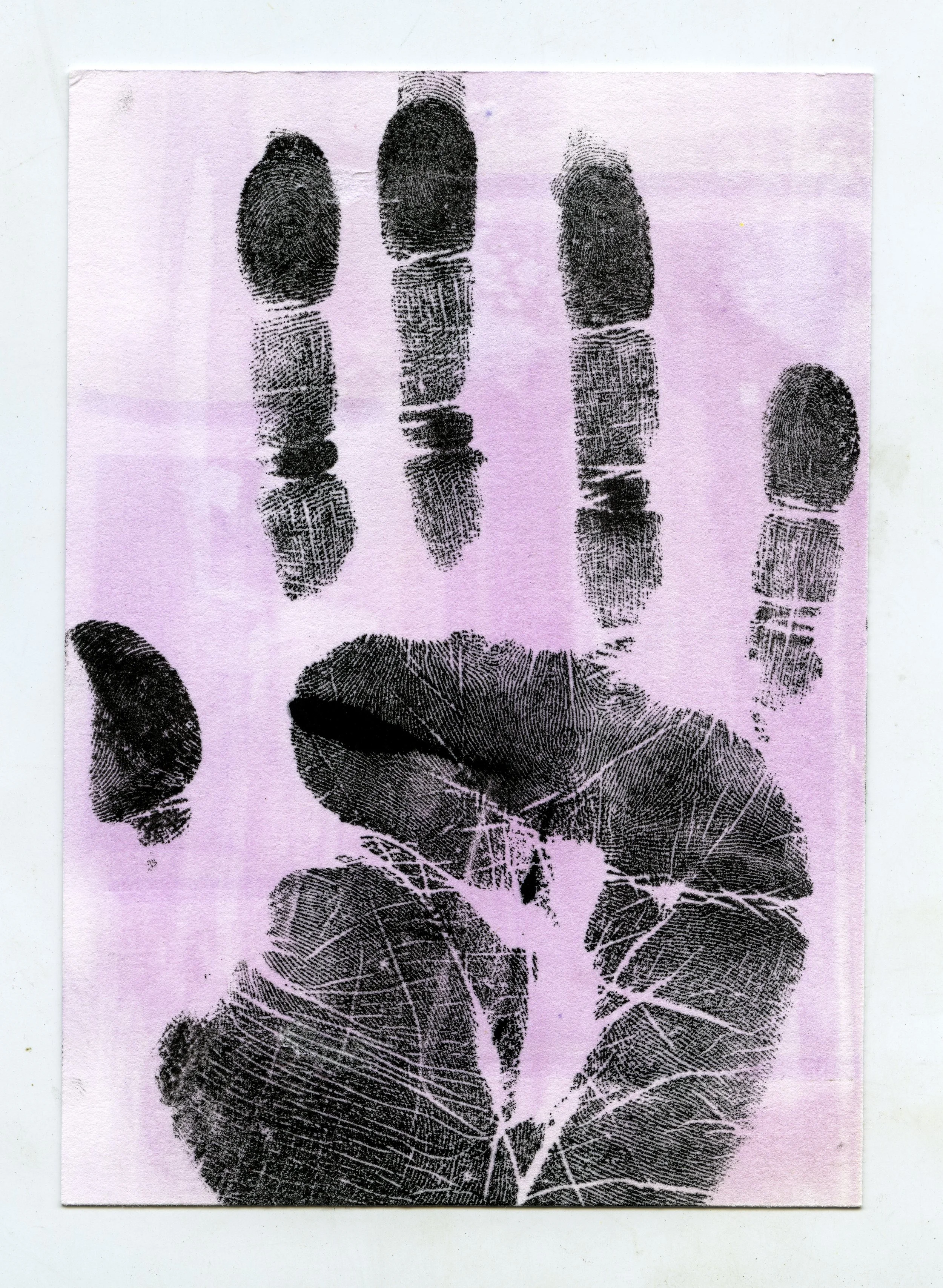 Anthotype and black ink. May 2025