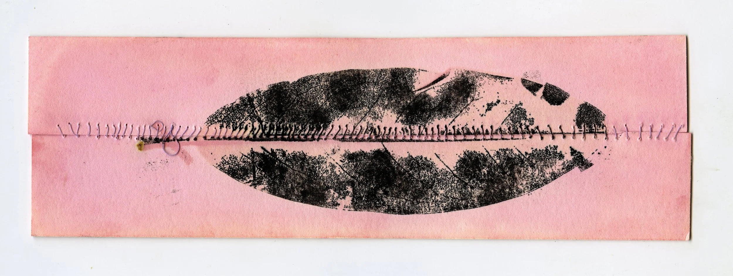 Side 1: Anthotype, black ink, string. May 2025