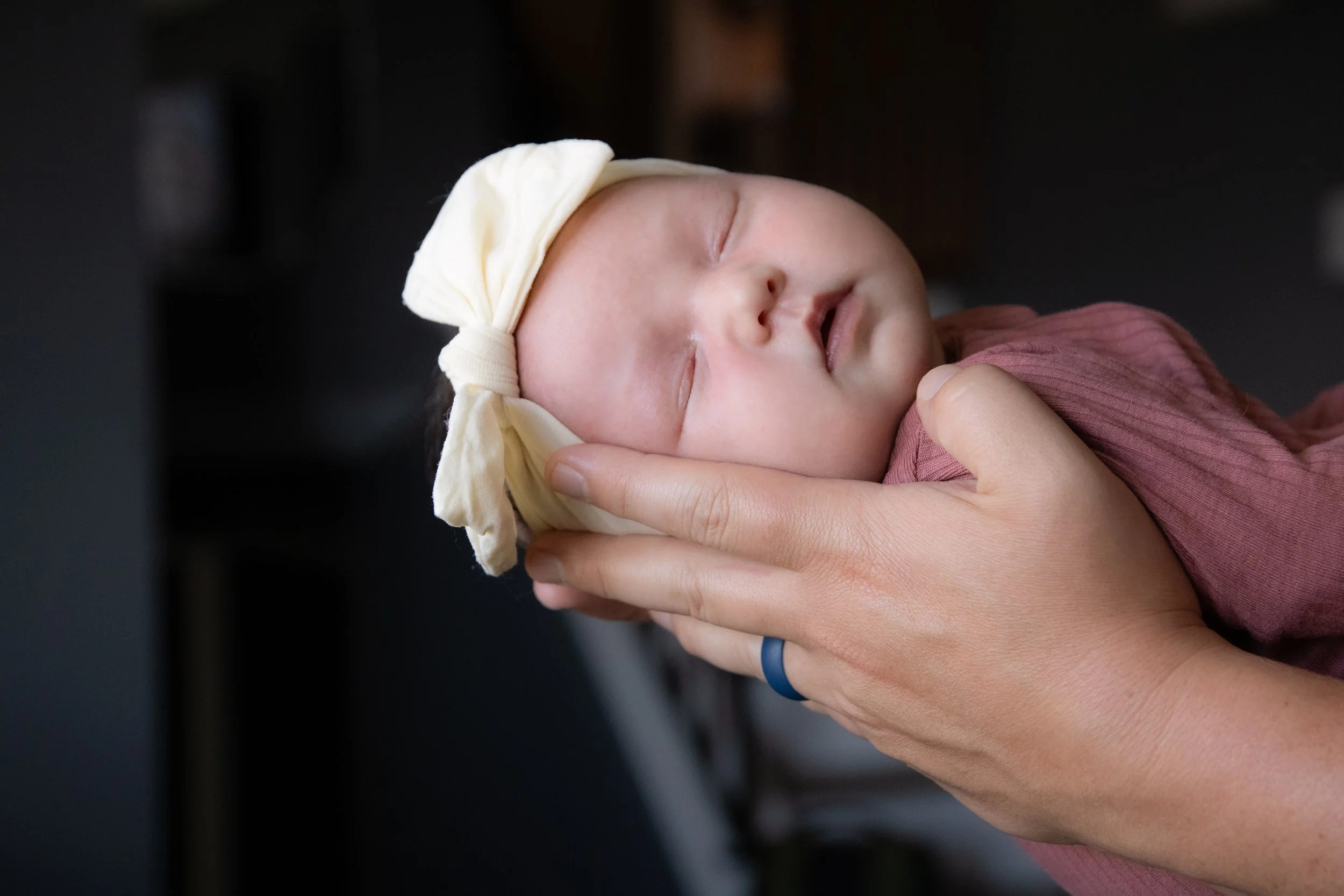 in home newborn photography in washington pa