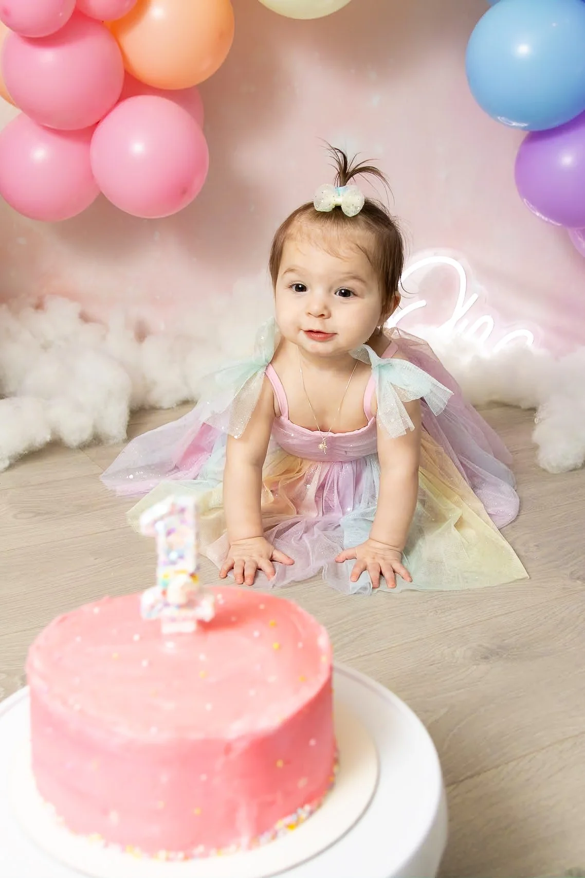 cake smash photography in  canonsburg pa first birthday photo session milestone