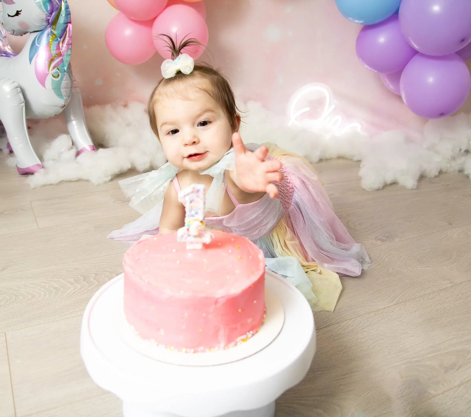 cake smash photography in  canonsburg pa first birthday photo session milestone