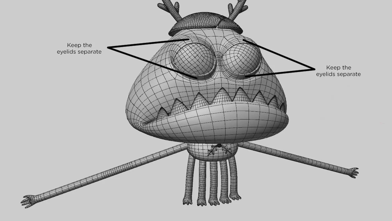 Wireframe _eyelids.jpg