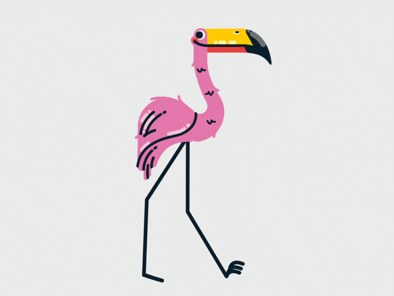 Flamingo 2_1.gif