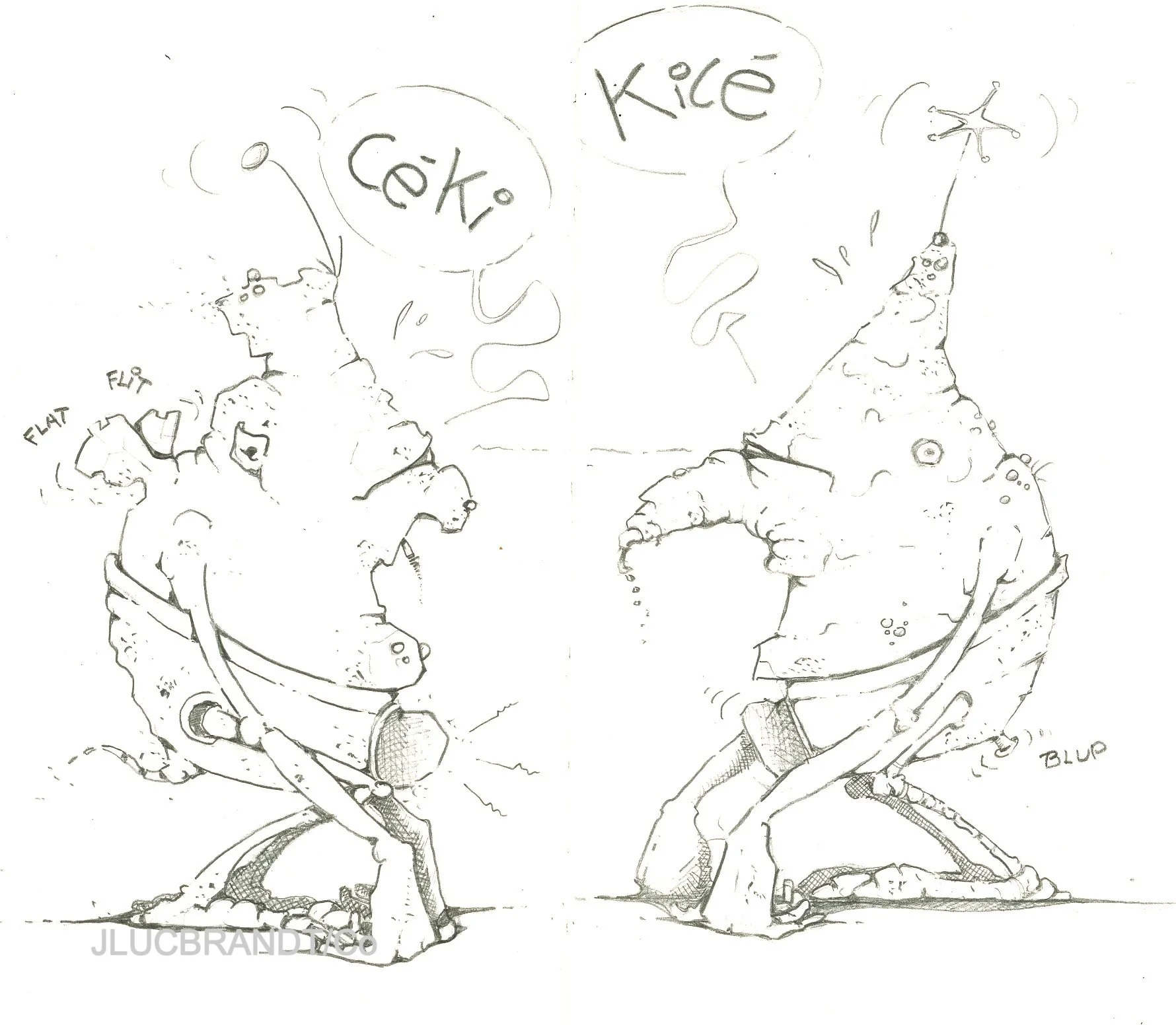 PROJET STRIP "LE TUYO" - 2016