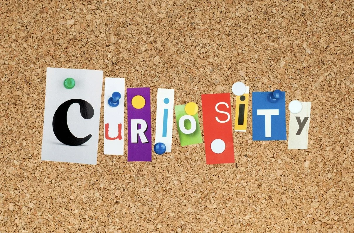 Curiosity: Master The Art Of The Informational Interview