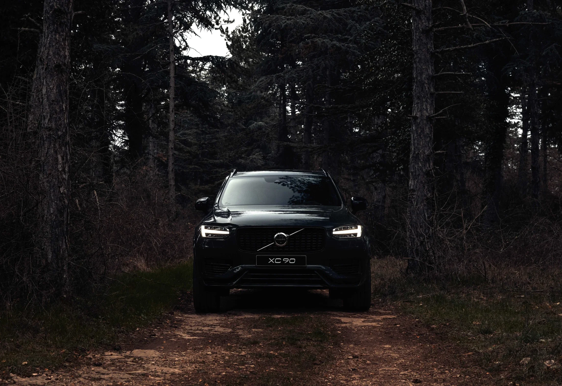 photographe automobile bourg en bresse – image communication Volvo XC90 concession Corsin automobiles Macon France statique foret