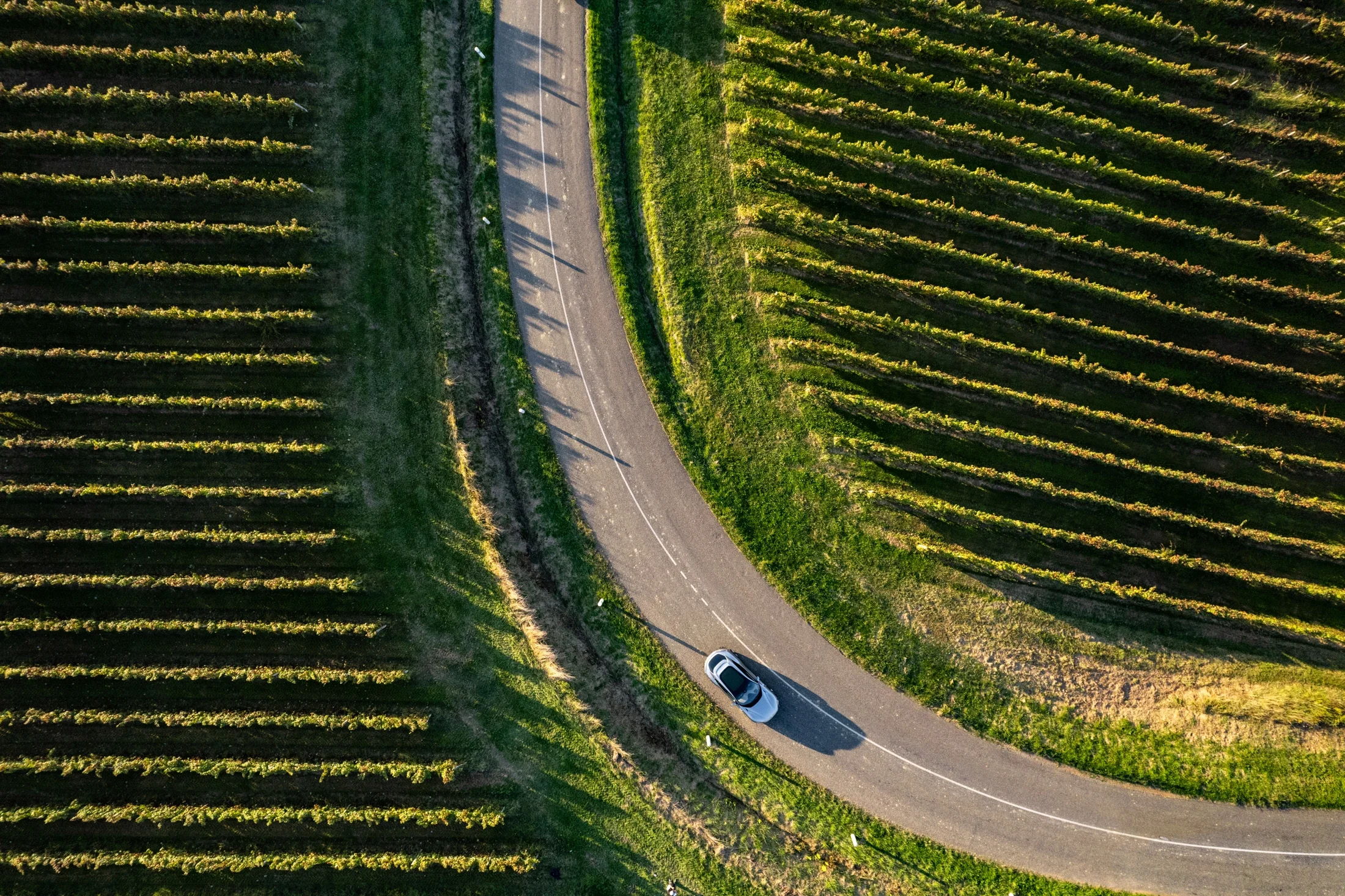 photographe automobile bourg en bresse – Ferrari European road tour Purosangue gris vigne bordeaux soleil couchant