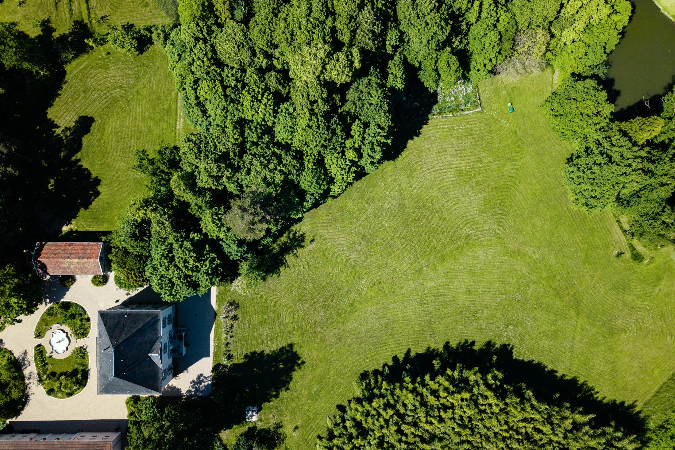 photographe immobilier bourg en bresse – Le Manoir Séquoia, son parc de végétation et son étang privé à Buellas vue de drone