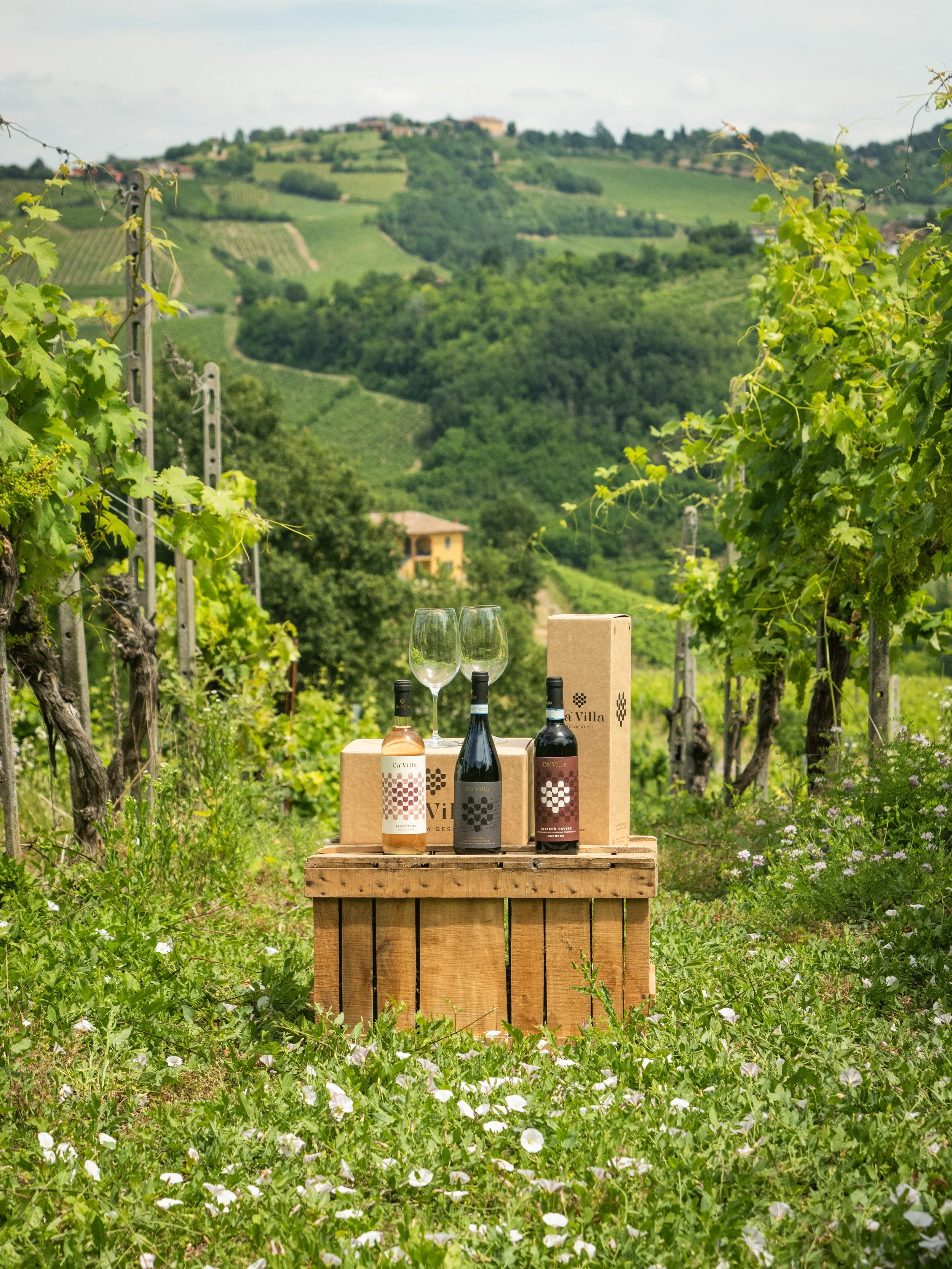 CA' VILLA_FOTO027.jpg